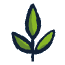 Icon02